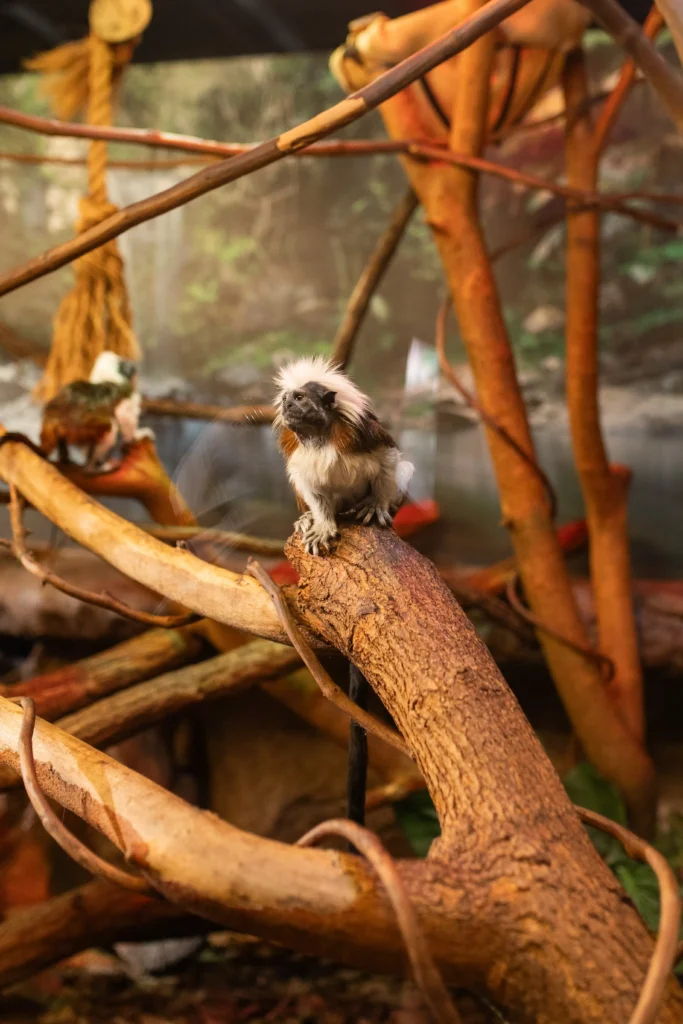 513-media-lake-tobias-bts-069