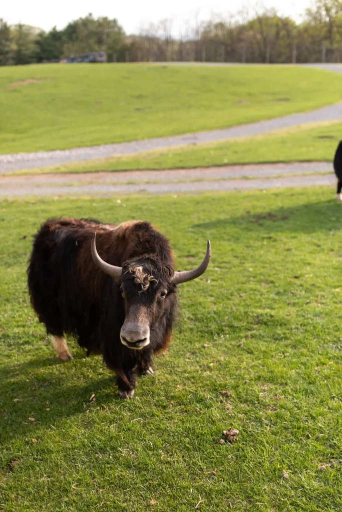 513-media-lake-tobias-bts-078