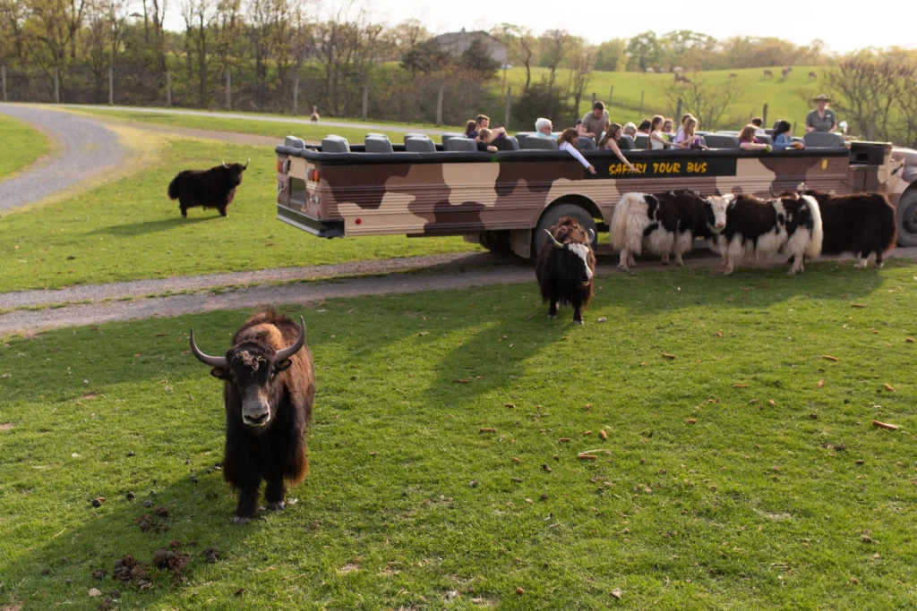 513-media-lake-tobias-bts-080