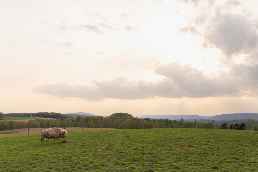 513-media-lake-tobias-bts-087