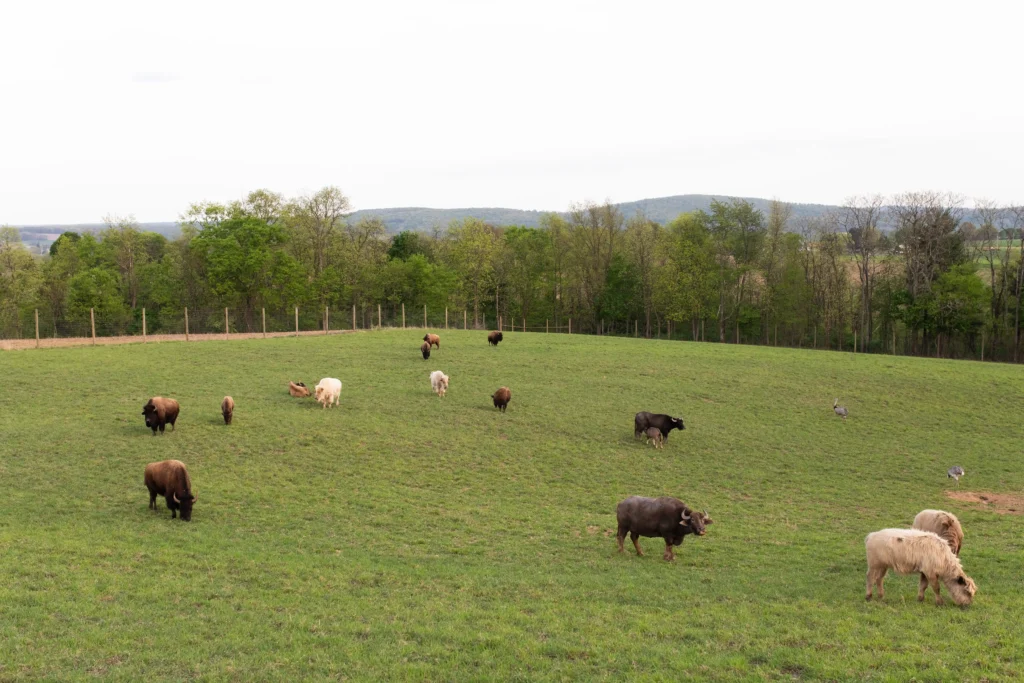 513-media-lake-tobias-bts-088