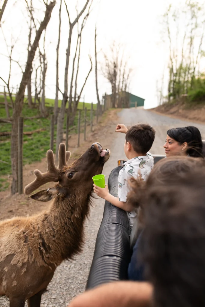 513-media-lake-tobias-bts-097