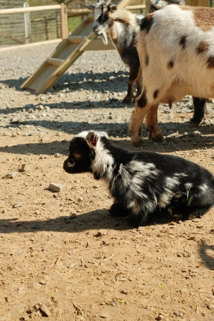513-media-lake-tobias-bts-125