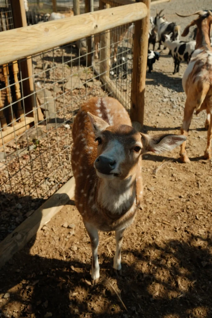 513-media-lake-tobias-bts-127