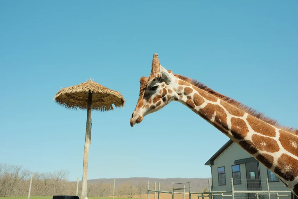 513-media-lake-tobias-bts-132