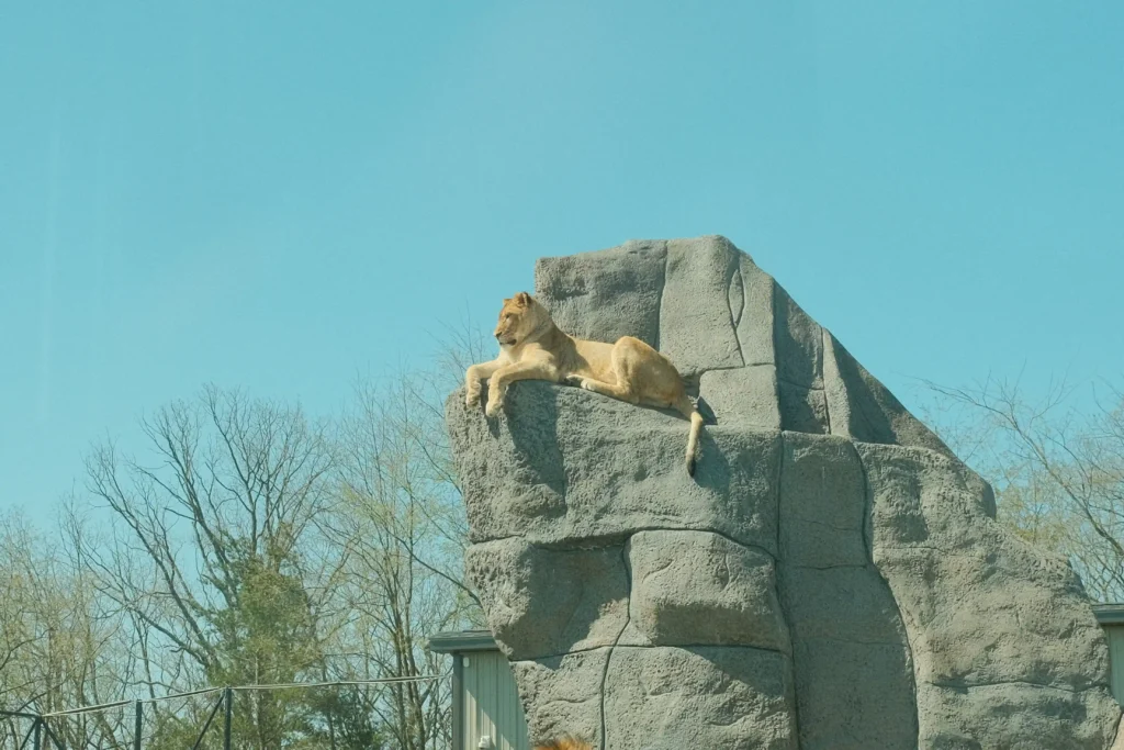 513-media-lake-tobias-bts-133