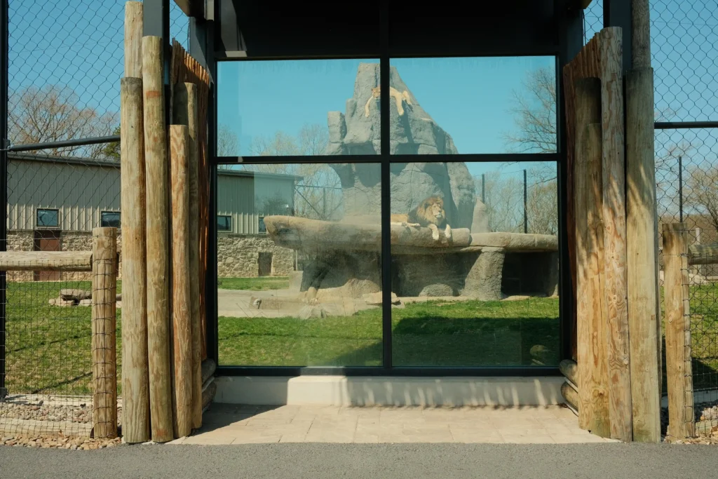 513-media-lake-tobias-bts-135